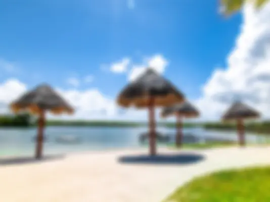 Propiedades Cancún Search Propiedades Background