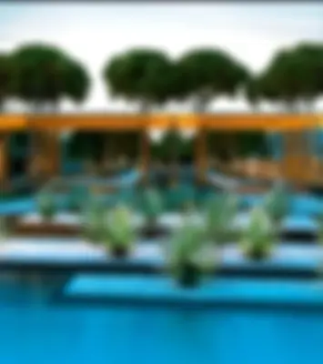 Propiedades Cancún Search Propiedades Background
