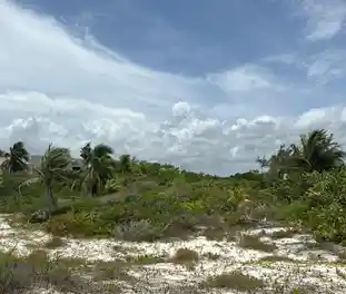 Propiedad COSTASU Imagen 01fachada_terreno_playa_mujeres_cancun_costasu.JPG