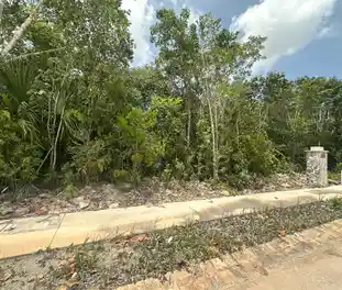 Propiedad MUSAN16-C Imagen 02terreno_terreno_losantos_cancun_musan16.jpg