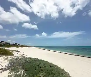 Propiedad COSTASU Imagen 03playa_terreno_playa_mujeres_cancun_costasu.JPG