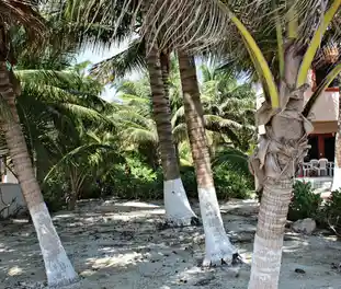 Propiedad MORESU Imagen 03extendido_terreno_puerto_morelos_moresu.JPG