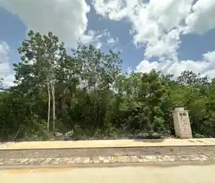 Propiedad MUSAN43-C Imagen 01terreno_terreno_losantos_cancun_musan43.jpg