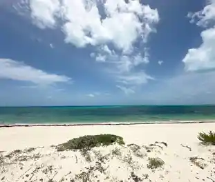 Propiedad COSTASU Imagen 02playa_terreno_playa_mujeres_cancun_costasu.JPG