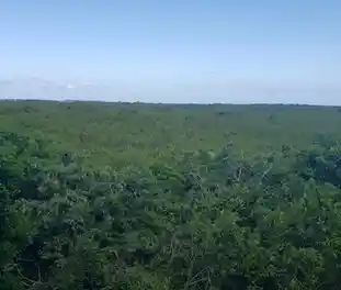 Propiedad PUNVISMAC Imagen 02vista_terreno_puntavista_puerto_morelos_punvismac.jpg