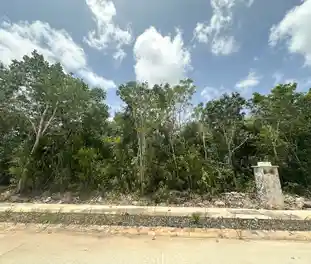 Propiedad MUSAN16-C Imagen 01terreno_terreno_losantos_cancun_musan16.jpg