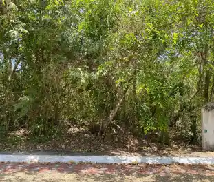 Propiedad BOSQUEMA Imagen 02terreno_terreno_residencial_regatta_puerto_morelos_bosquema.jpeg