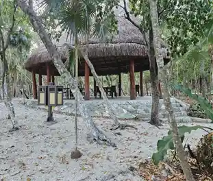 Propiedad PUNVISMAC Imagen 04palapa_terreno_puntavista_puerto_morelos_punvismac.jpg