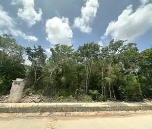Propiedad MUSAN18-C Imagen 01terreno_terreno_losantos_cancun_musan18.jpg