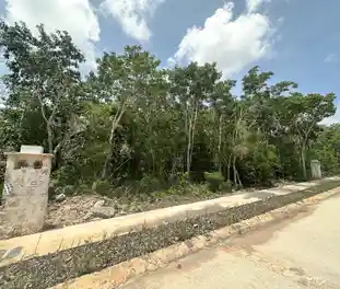 Propiedad MUSAN18-C Imagen 02terreno_terreno_losantos_cancun_musan18.jpg