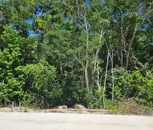 Propiedad BAKMA Imagen 01fachada_terrenobak_tulum_bakma.jpg