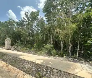 Propiedad MUSAN18-C Imagen 03terreno_terreno_losantos_cancun_musan18.jpg