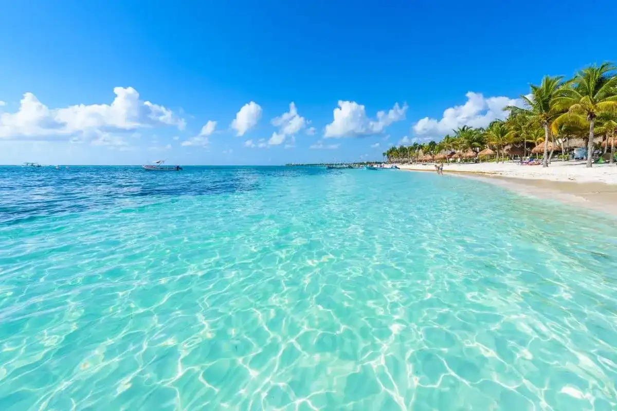 Imagen representativa de Vive a minutos de la playa