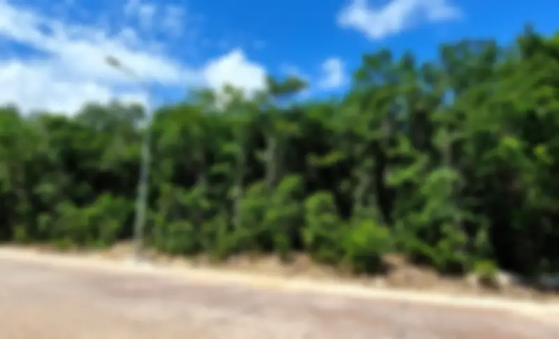 Propiedad COLIMALI19 Imagen