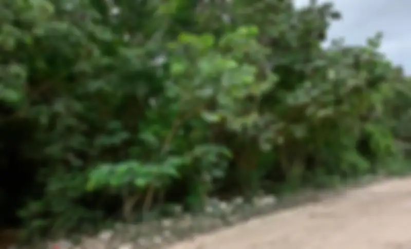 Propiedad LUNAFADO Imagen