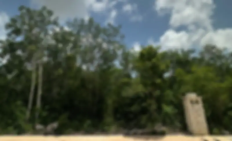 Propiedad MUSAN43 Imagen