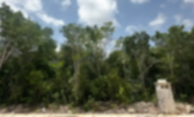 Propiedad MUSAN16 Imagen