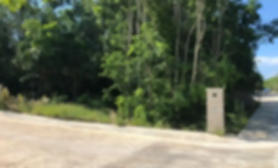 Propiedad BOREALI19 Imagen