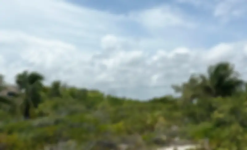 Propiedad COSTASU Imagen