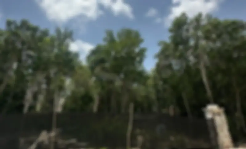 Propiedad HOLSAN16 Imagen