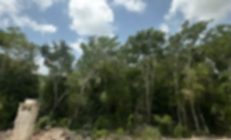 Propiedad MUSAN18 Imagen