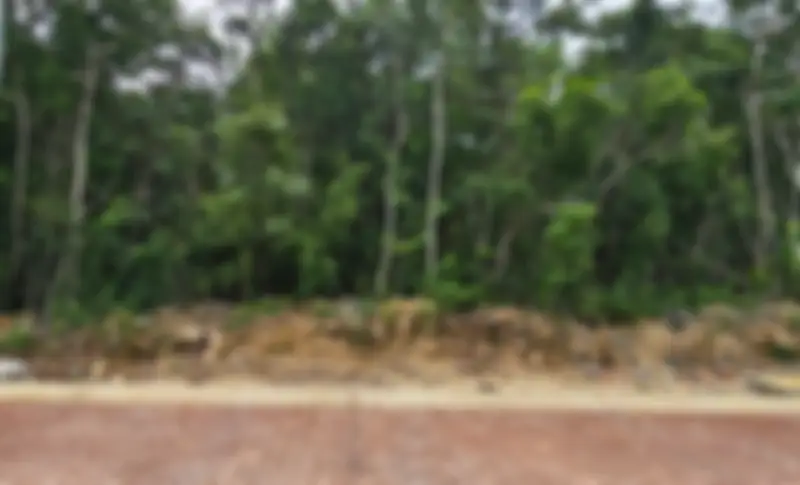 Propiedad PALATIMA06 Imagen