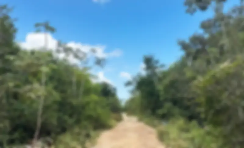 Propiedad ALAMOSAN Imagen