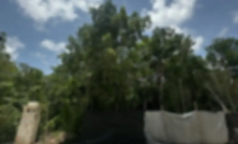 Propiedad HOLSAN14 Imagen