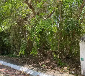 Propiedad BOSQUEMA