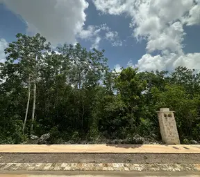Propiedad MUSAN43-C