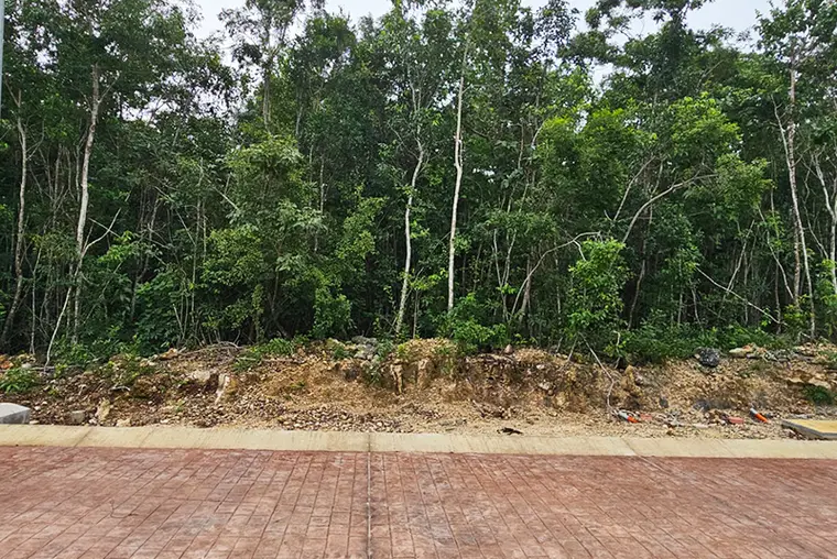 Terreno PALATIMA06 en Huayacán
