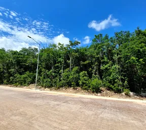 Propiedad COLIMALI19