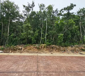 Propiedad PALATIMA06