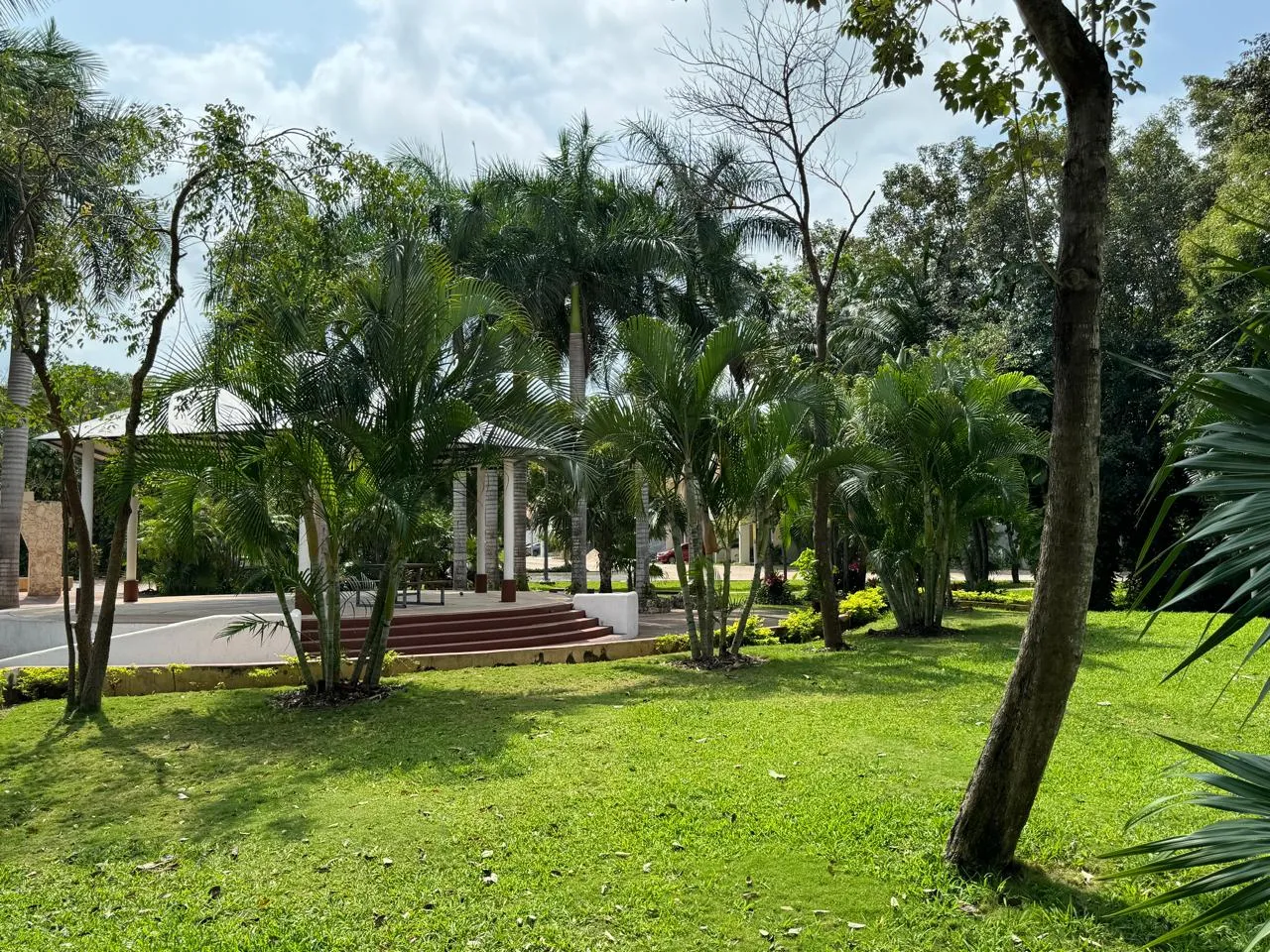 Imagen de Beneficios de adquirir un casa en residencial Arbolada