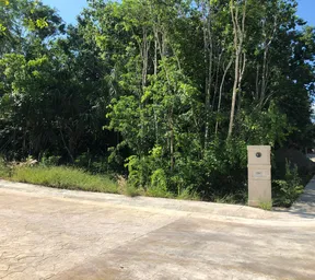 Propiedad BOREALI19