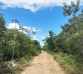 Propiedad ALAMOSAN