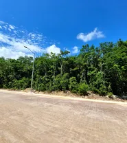 Imagen 2 Propiedad Relacionada COLIMALI19