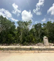 Imagen 2 Propiedad Relacionada MUSAN16