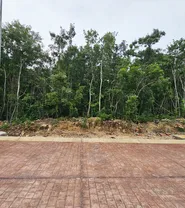 Imagen 2 Propiedad Relacionada PALATIMA06