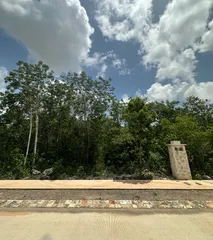 Imagen 1 Propiedad Relacionada MUSAN43