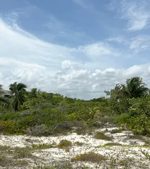 Imagen 1 Propiedad Relacionada COSTASU