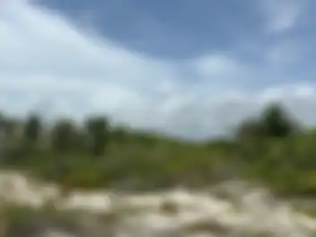 Propiedad COSTASU Imagen 01fachada_terreno_playa_mujeres_cancun_costasu.JPG