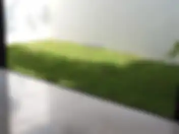 Propiedad NANSU9 Imagen 02jardin_casa_arbolada_cancun_nansu9.jpg