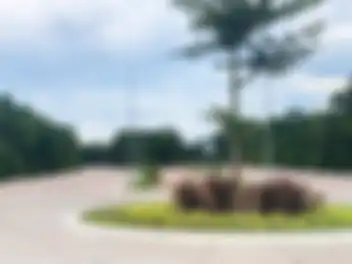 Propiedad COLIMALI19 Imagen 02interior_terreno_altai_cancun_colimali19.jpg