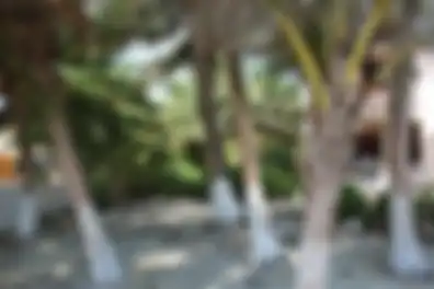 Propiedad MORESU Imagen 03extendido_terreno_puerto_morelos_moresu.JPG