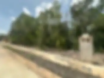 Propiedad MUSAN16 Imagen 03terreno_terreno_losantos_cancun_musan16.jpg