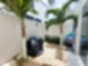 Propiedad ZALAMLI14-H Imagen 04patio_casa_residencial_arbolada_cancun_zalamli19.jpeg