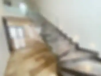 Propiedad RAFUDUL Imagen 02escalera_casa_aqua_cancun_rafudul.jpg