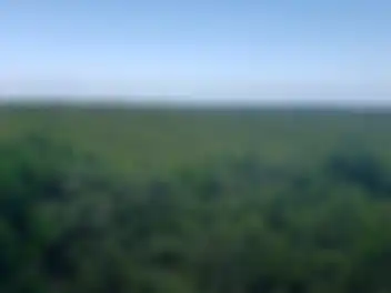 Propiedad PUNVISMAC Imagen 02vista_terreno_puntavista_puerto_morelos_punvismac.jpg