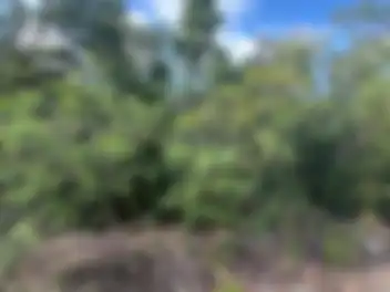 Propiedad HUDAG Imagen 02fachada_terreno_rio_cancun_hudag.jpg